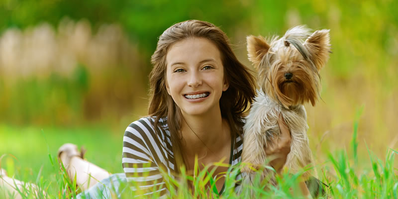 Estate Planning for Pets